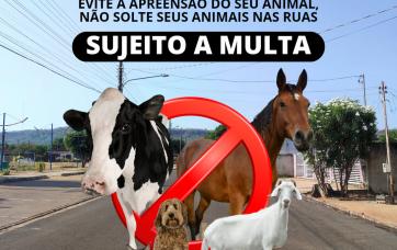 Imagens da Notícia COMUNICADO  A Prefeitura Municipal de Nortelândia informa que não é permitido animais soltos em vias…